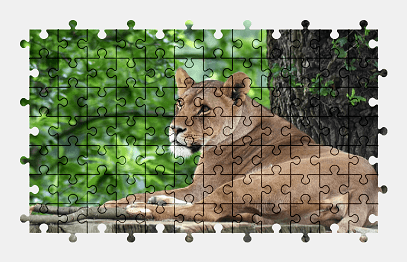 Jigsaw puzzle online lion,lioness,predator,animal,cat