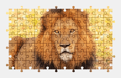 Jigsaw puzzle online lion,nature,wildlife,africa,safari,animal,colorful