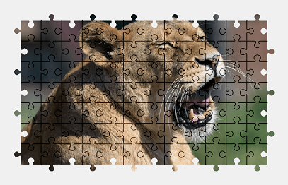 Jigsaw puzzle online lioness,lion,animal,cat