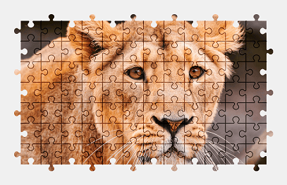 Jigsaw puzzle online lioness,animal,lion,colorful