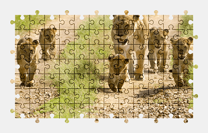 Jigsaw puzzle online lion,animal,colorful