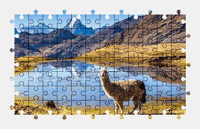 Jigsaw puzzle online llama,animal,nature,colorful,mountains