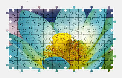 Jigsaw puzzle online lotus,flower,plant,colorful