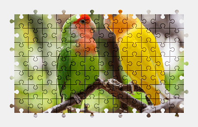 Jigsaw puzzle online lovebird,bird,animal,colorful