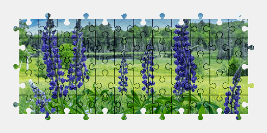 Jigsaw puzzle online flower,plant,nature,colorful