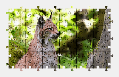 Jigsaw puzzle online lynx,animal,nature,colorful
