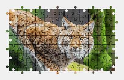 Jigsaw puzzle online lynx,animal,nature,big-cat,colorful