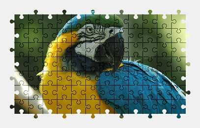 Jigsaw puzzle online macaw,bird,animal,parrot