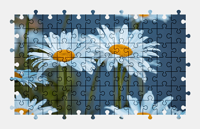 Jigsaw puzzle online marguerite,flower,nature