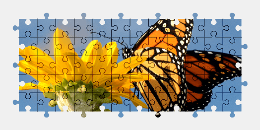 Jigsaw puzzle online monarch,butterfly,flower,animal,colorful