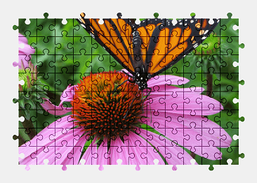 Jigsaw puzzle online monarch,butterfly,flower,nature,colorful,animal