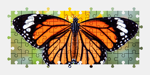 Jigsaw puzzle online monarch,butterfly,animal,nature,colorful