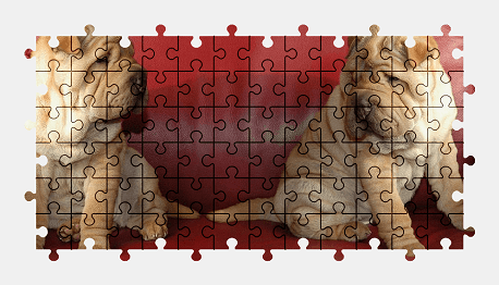 Jigsaw puzzle online dog,puppy,pet,animal