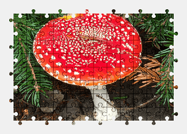 Jigsaw puzzle online mushroom,forest,nature,autumn
