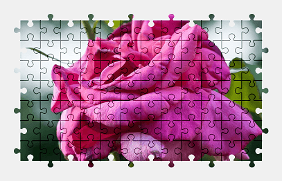 Jigsaw puzzle online pink,rose,nature,flower