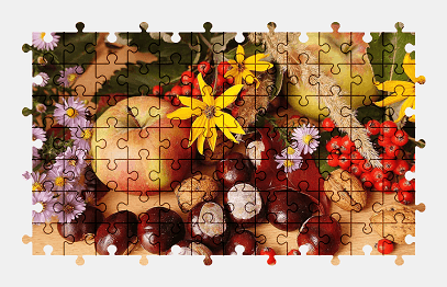 Jigsaw puzzle online nature,fruit,autumn,flower