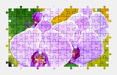 Jigsaw puzzle online orchid,flower,plant,colorful