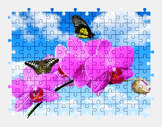 Jigsaw puzzle online orchid,flower,butterfly,animal,sky,colorful