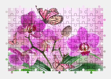 Jigsaw puzzle online orchid,butterfly,flower,animal,colorful
