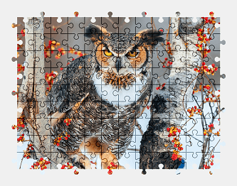 Jigsaw puzzle online owl,bird,animal,nature,colorful