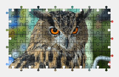 Jigsaw puzzle online owl,animal,bird