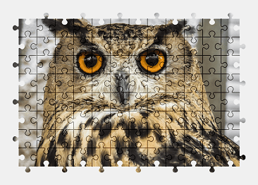 Jigsaw puzzle online owl,bird,animal,colorful