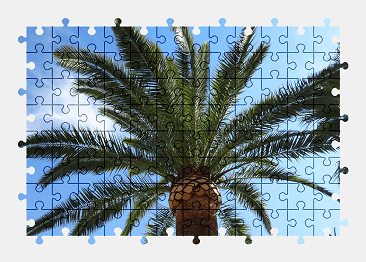Jigsaw puzzle online palm-tree,sky,nature,colorful