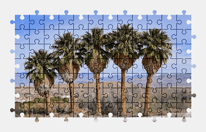 Jigsaw puzzle online palm-tree,nature,tree