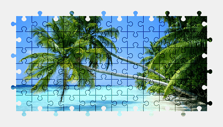 Jigsaw puzzle online palm-tree,tree,tropical,beach,colorful,nature