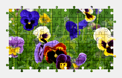 Jigsaw puzzle online flower,colorful,nature