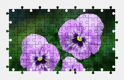 Jigsaw puzzle online purple,flower,garden,nature,colorful
