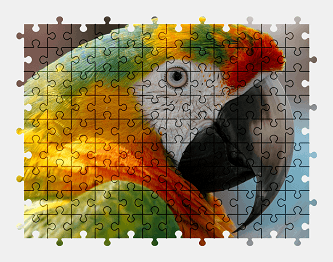 Jigsaw puzzle online parrot,bird,animal,colorful