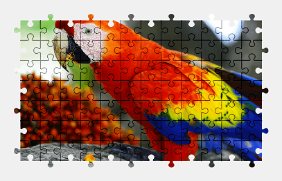 Jigsaw puzzle online parrot,bird,colorful,animal