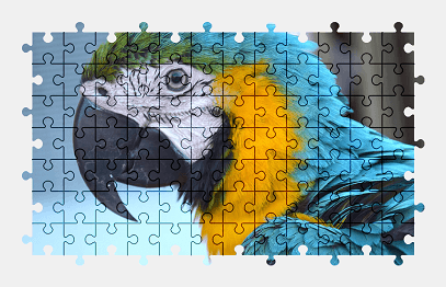 Jigsaw puzzle online parrot,macaw,bird,animal,colorful