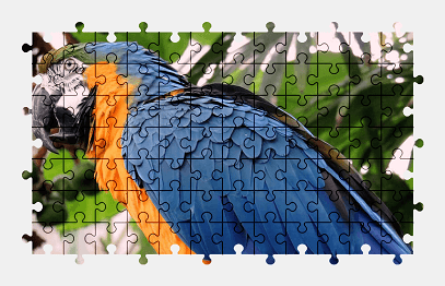 Jigsaw puzzle online parrot,colorful,bird,macaw,nature