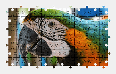 Jigsaw puzzle online parrot,macaw,bird,animal,colorful