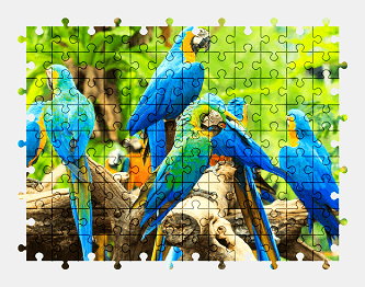 Jigsaw puzzle online parrot,bird,animal,colorful