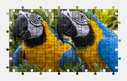 Jigsaw puzzle online parrot,bird,animal,colorful