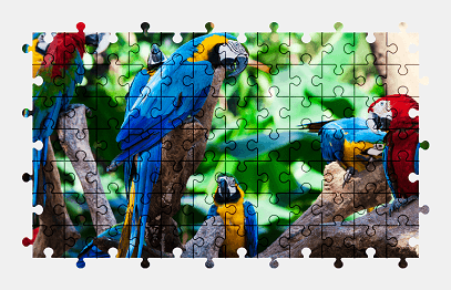 Jigsaw puzzle online parrot,bird,animal,colorful,nature