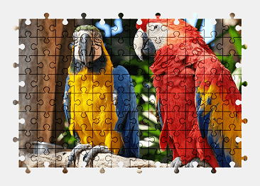 Jigsaw puzzle online parrot,macaw,colorful,nature,bird,animal