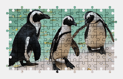 Jigsaw puzzle online penguin,animal,bird,africa,wildlife,cute,nature