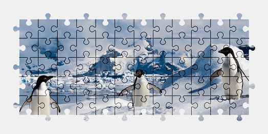 Jigsaw puzzle online penguin,bird,animal,snow,nature