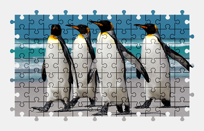 Jigsaw puzzle online penguin,bird,animal,beach,colorful