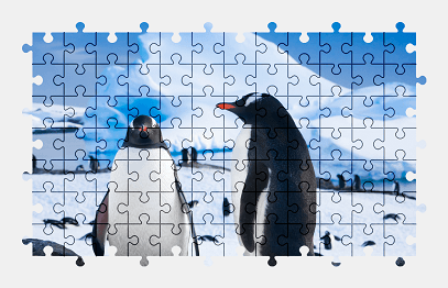 Jigsaw puzzle online penguin,bird,animal,snow,colorful