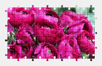 Jigsaw puzzle online pink,peony,flower,blossom,bloom,spring,nature