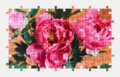 Jigsaw puzzle online peony,flower,colorful