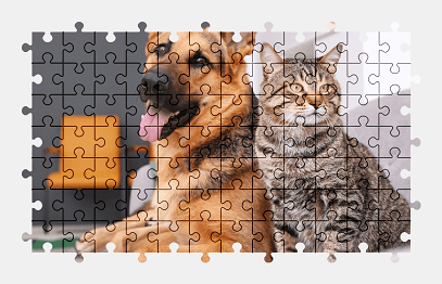 Jigsaw puzzle online german-shepherd,dog,cat,pet,animal,colorful