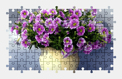 Jigsaw puzzle online petunia,flower,colorful
