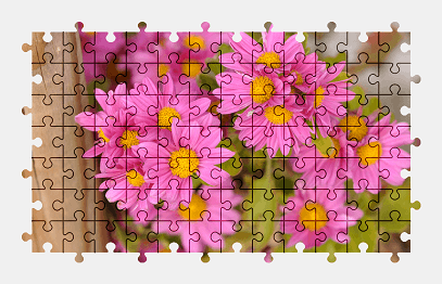 Jigsaw puzzle online pink,chrysanthemum,flower,nature,colorful