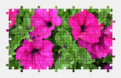 Jigsaw puzzle online pink,petunia,flower,plant,nature,colorful